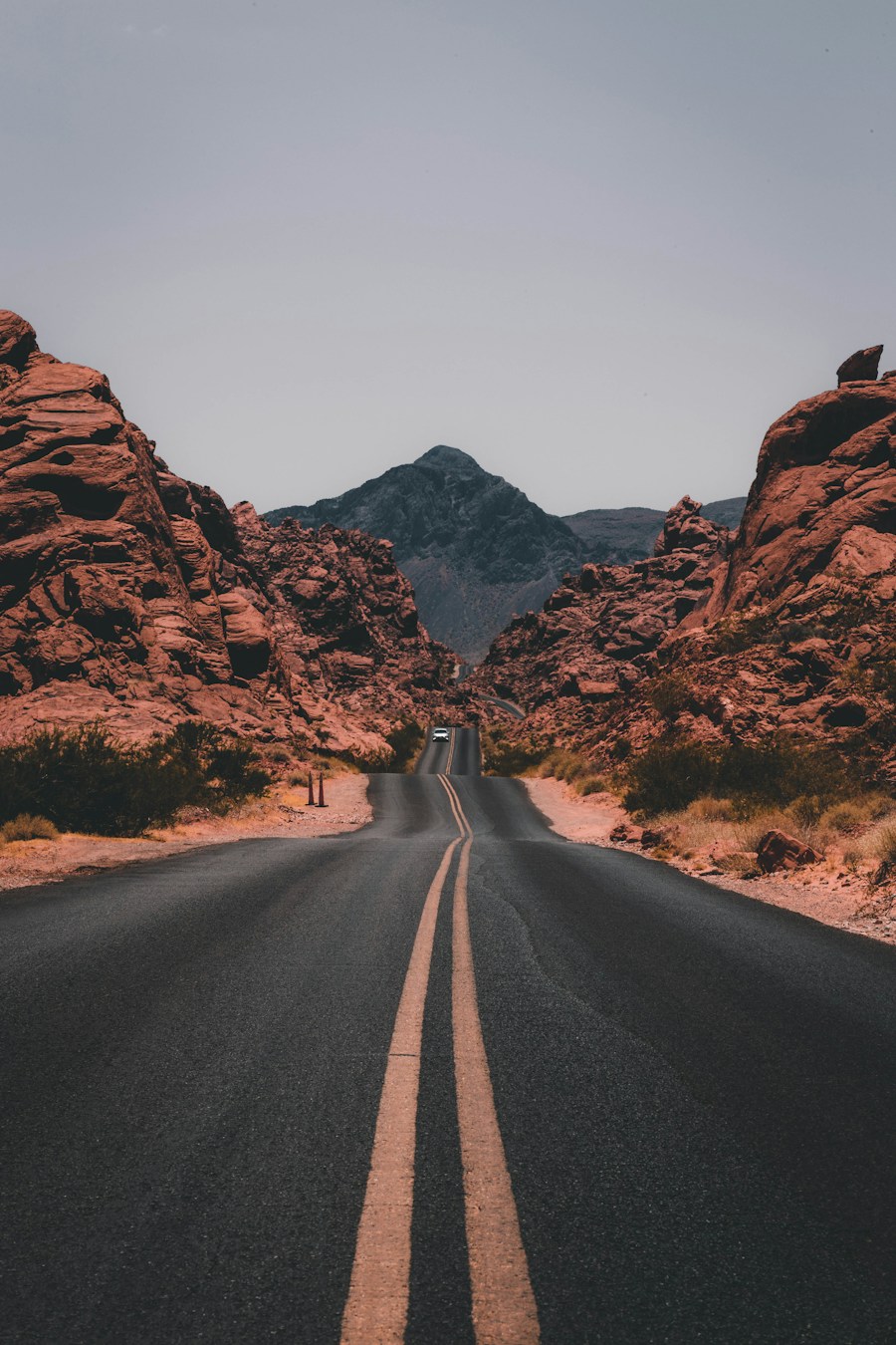 Nature landscape